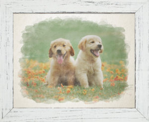 Custom Pet Watercolor Portrait, Pet Loss Memorial, Dog Painting